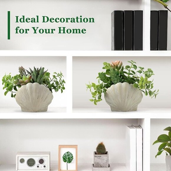 NEW Set of 2, Assorted Faux Succulents Artificial Plants with Sea Shell Pots - Picture 7 of 8